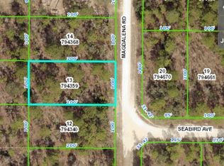 15497 Magdalena Rd, Weeki Wachee, FL 34614