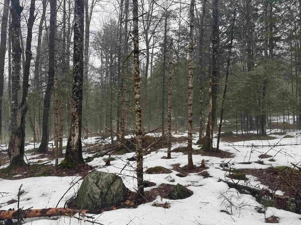 3826 Leighton Hill Road, Newbury, VT 05081