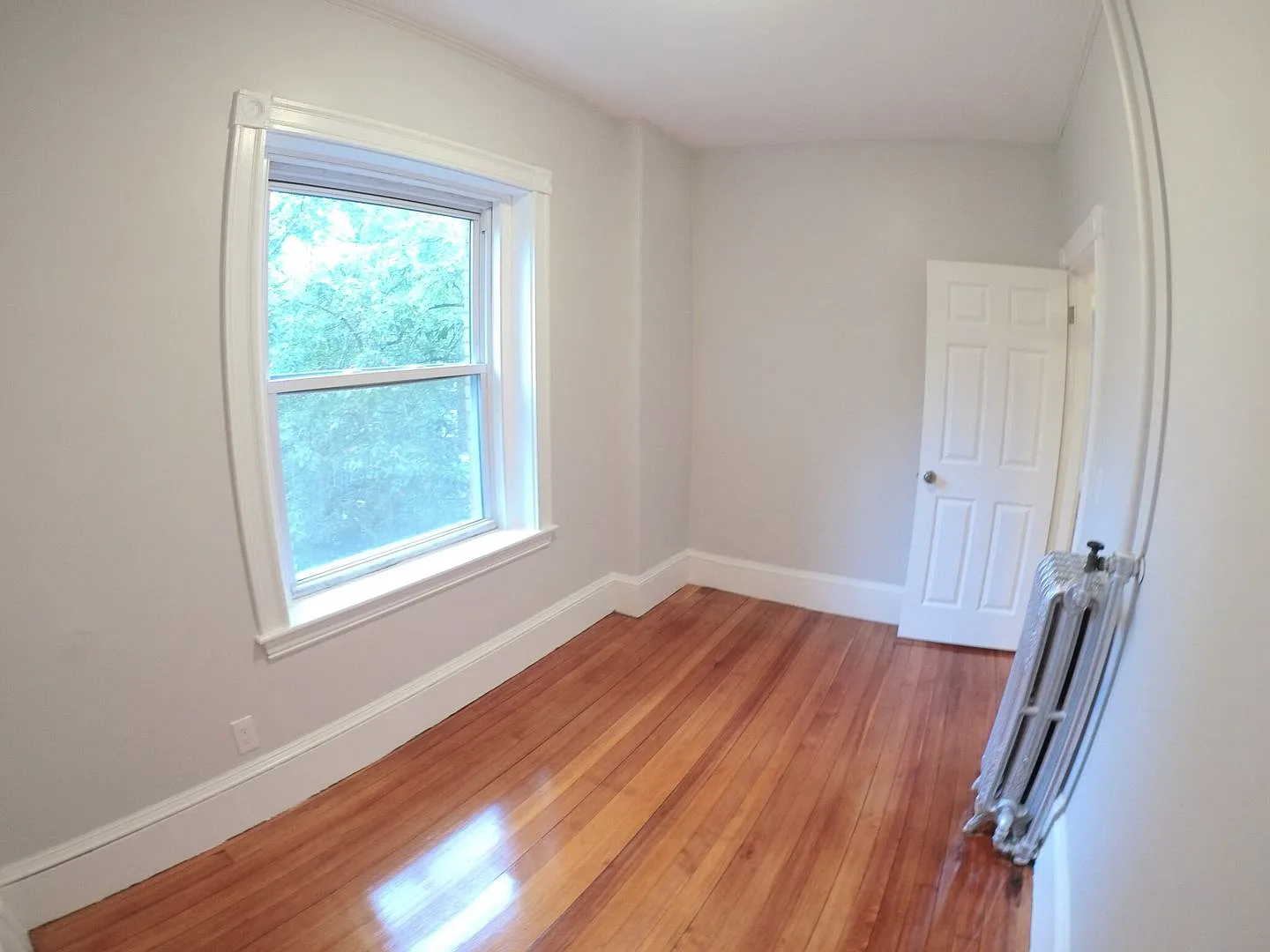 Nice 1 bed in Brookline VIllage — Photo 2