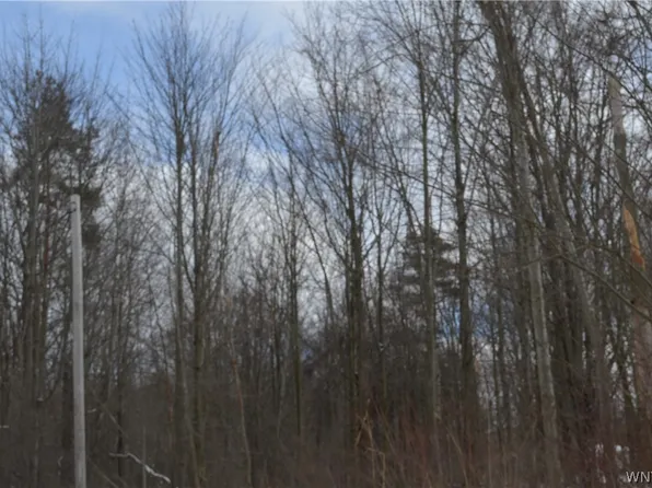 Adams Ave #36, Angola, NY 14006