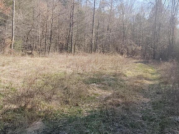 2nd image of 1358 Morgan County Hwy