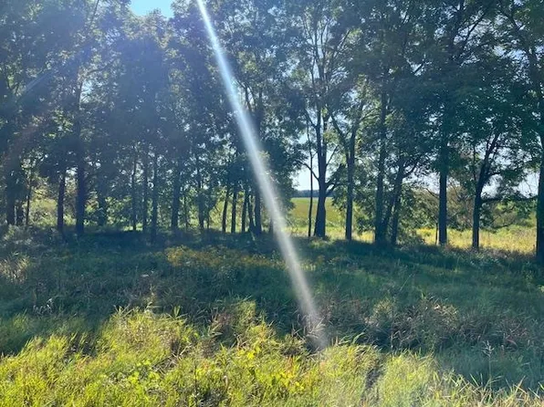 County Road M Rd, Pickett, WI 54964