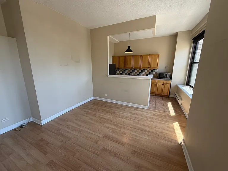 600 S Dearborn St #1303 — Photo 9