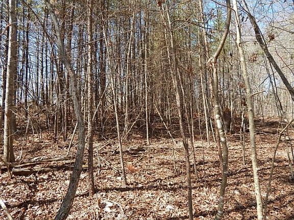 2nd image of 8510 Lena Nora Ln