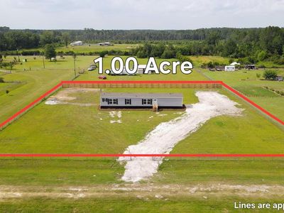 2519 Barnes Rd, Blackshear, GA, 31516