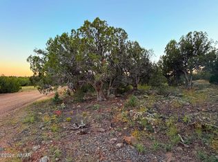 8332 Skyline Dr, Show Low, AZ 85901
