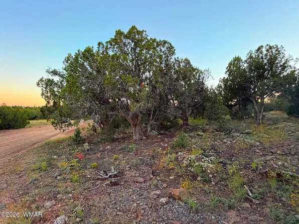 8332 Skyline Dr, Show Low, AZ 85901