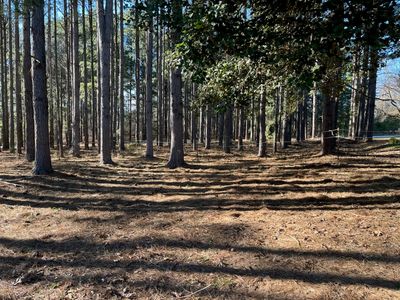 2075 Mount Lebanon Rd, Campobello, SC, 29322