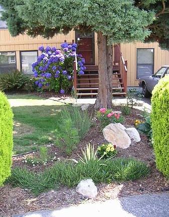 Front Yard