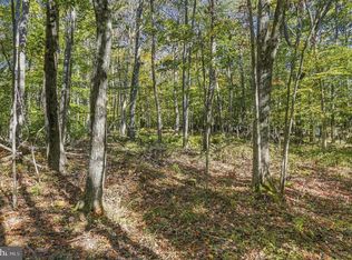 Mosser Rd, Mc Henry, MD 21541