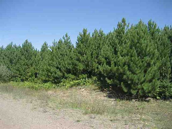 Land Along Road