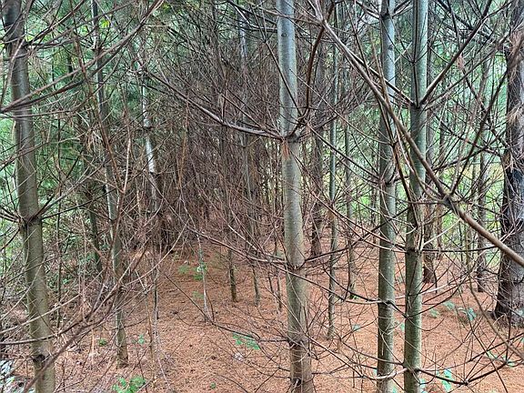 4th image of 0 Route 242 Road