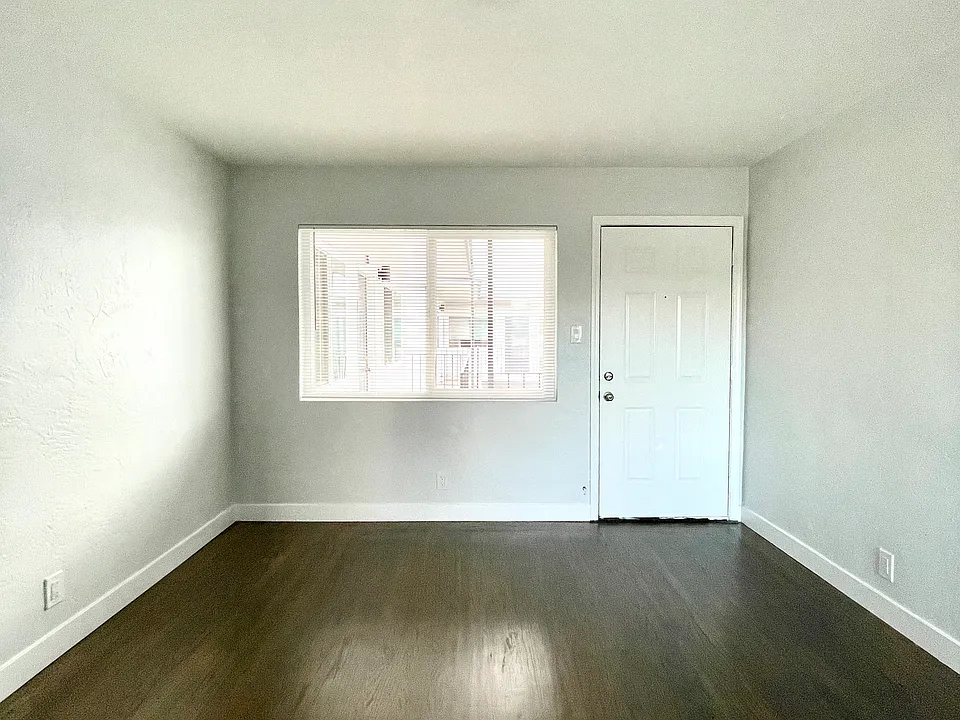 Living Room - Lots of Natural Light