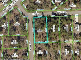 12412 Neeld, Weeki Wachee, FL 34614