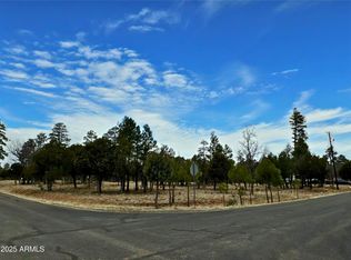 2120 Aztec Cir #171, Happy Jack, AZ 86024