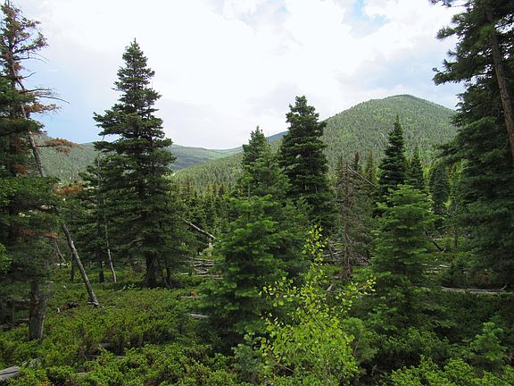 3rd image of LOT 103 Valley Vista Rd
