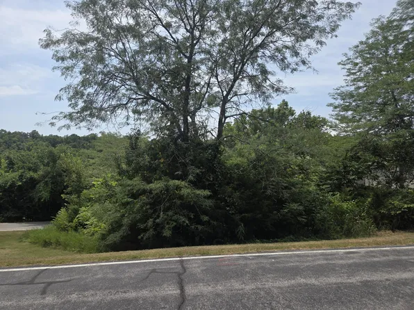Lot 30 Roark Branch Road, Branson West, MO 65737