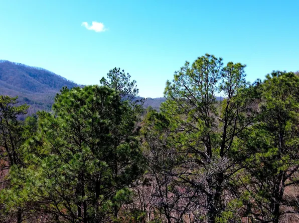 4 Walden Ridge Rd, Sevierville, TN 37862