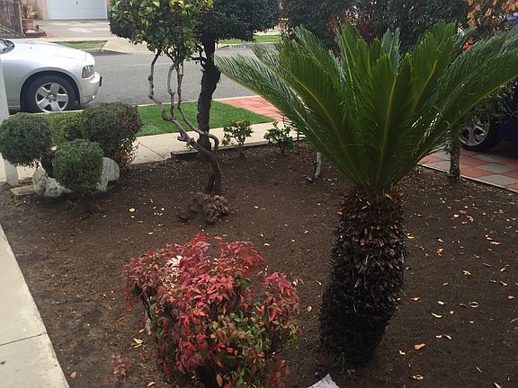 5th image of 14819 Helwig Ave