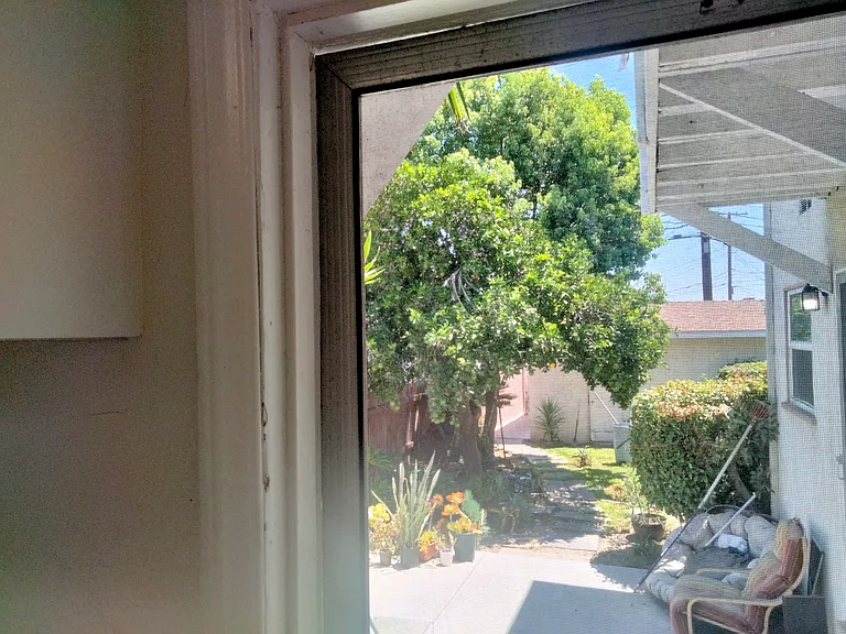 Rear Yard