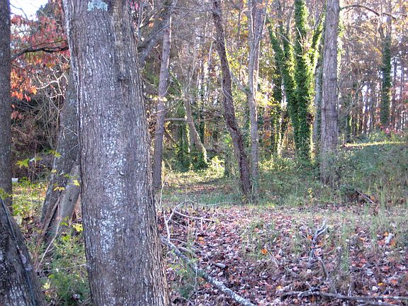 4th image of 136 Huntington Lane Lot 19