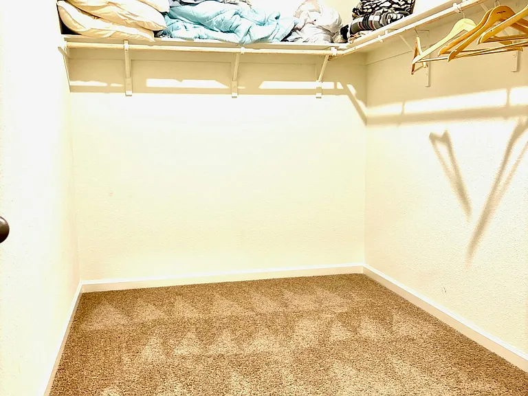 10424 Skynyrd Way — Photo 19