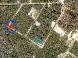 20122 Medicine Stone Dr #10, Webster, FL 33597