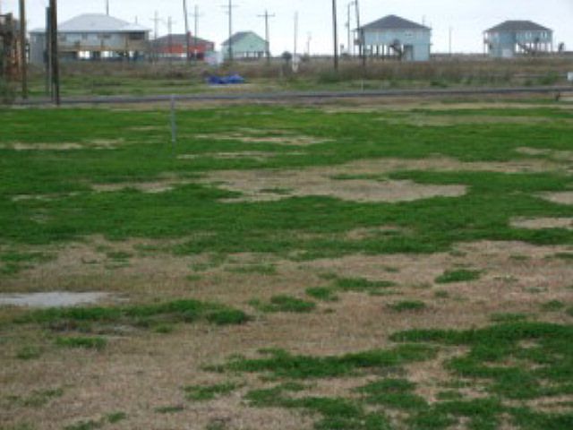 2nd image of 2320 Highway 87