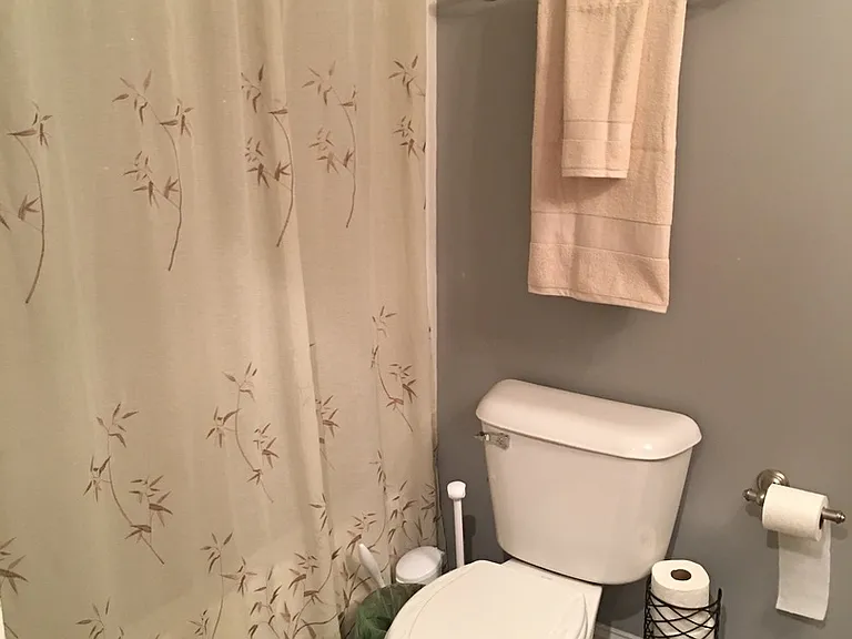 2 Blakeney Rose Ln — Photo 13