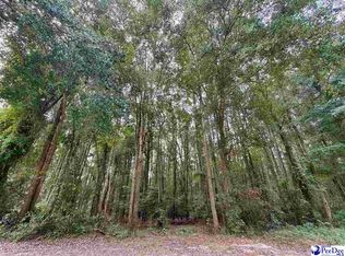 Pleasant Valley Rd, Cheraw, SC 29520