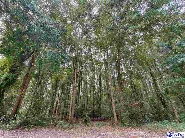Pleasant Valley Rd, Cheraw, SC 29520