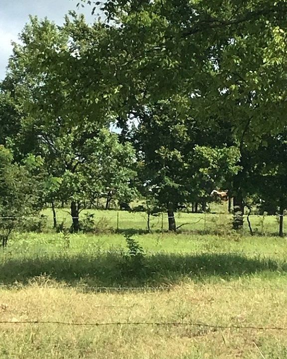 2nd image of 170 Highway Tract #2