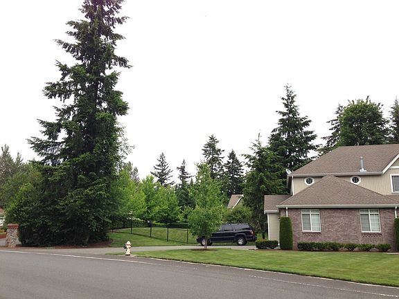 Western Side of Property