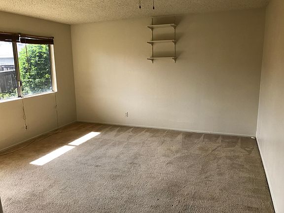 carpeted studio living space