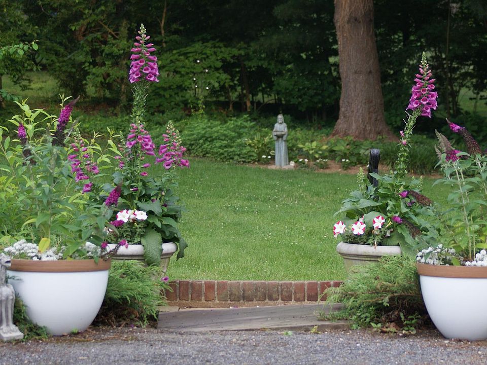 house on the hill ロンパースFlower Foxhill Garden | Design Inspiration | Mount Vernon Floral Shop