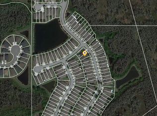 2929 Tanglewylde Dr, Land O Lakes, FL 34638