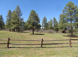 393 Martinez Pl, Pagosa Springs, CO 81147