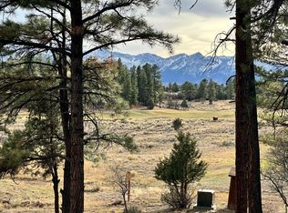 46 Marmot Ct LOT 121, Ridgway, CO 81432