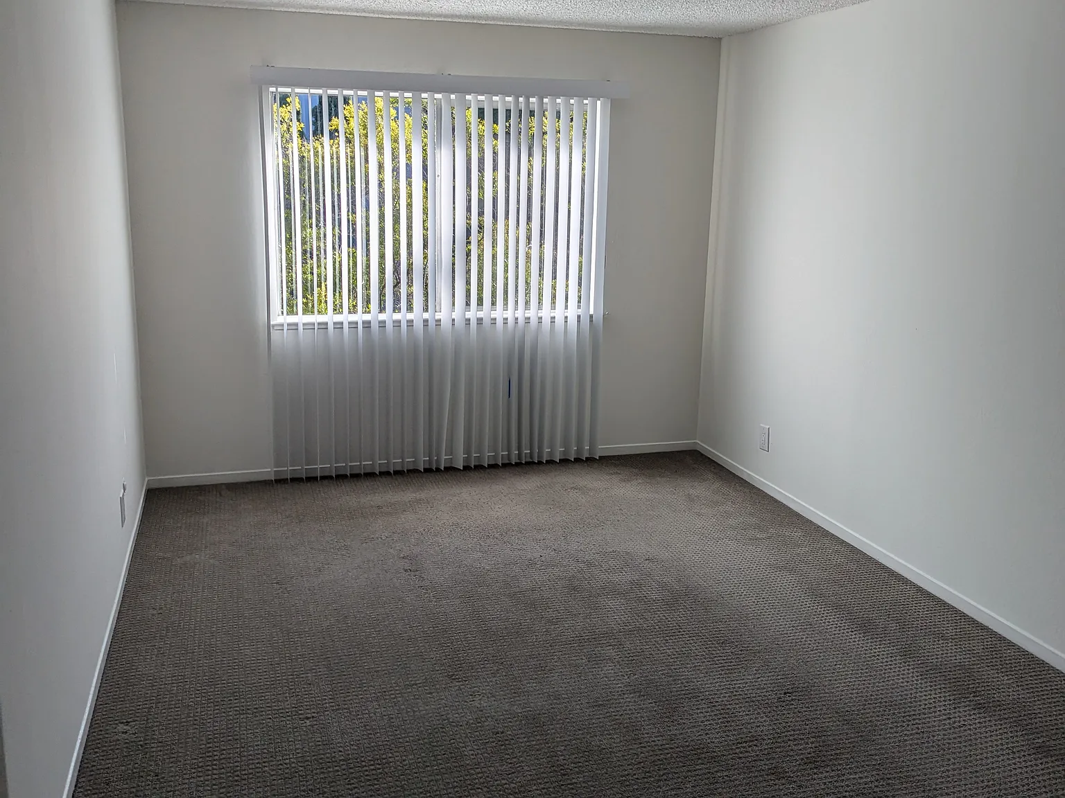 1944 Garden Drive — Photo 3