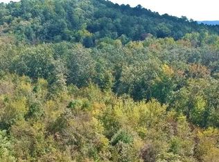 162 Polk Rd #721, Mena, AR 71953