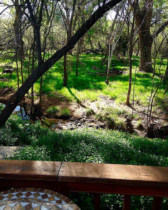 View off deck in backyard