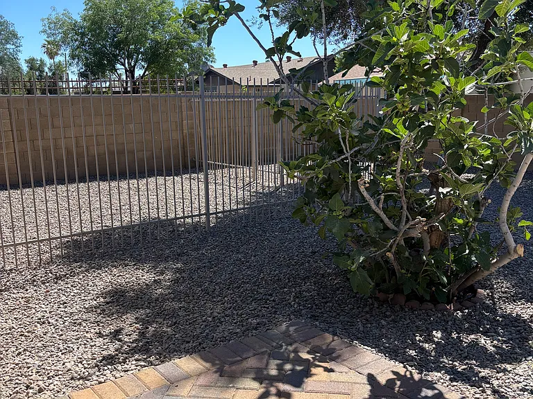 5001 W Carol Ave — Photo 17