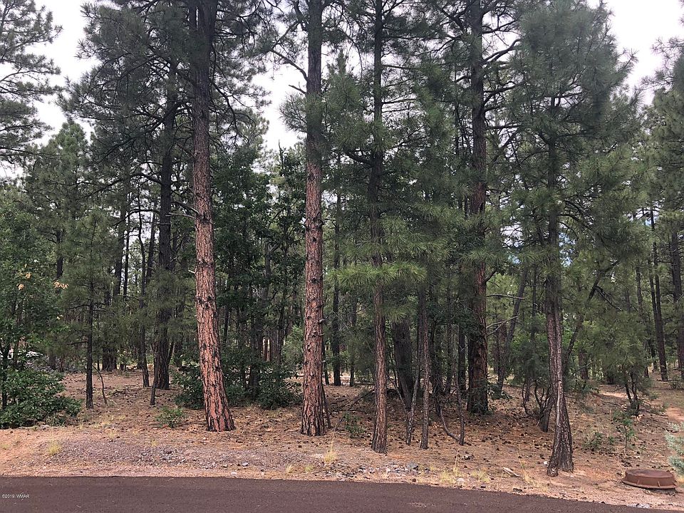 1st image of 1360 S Bristle Cone Dr