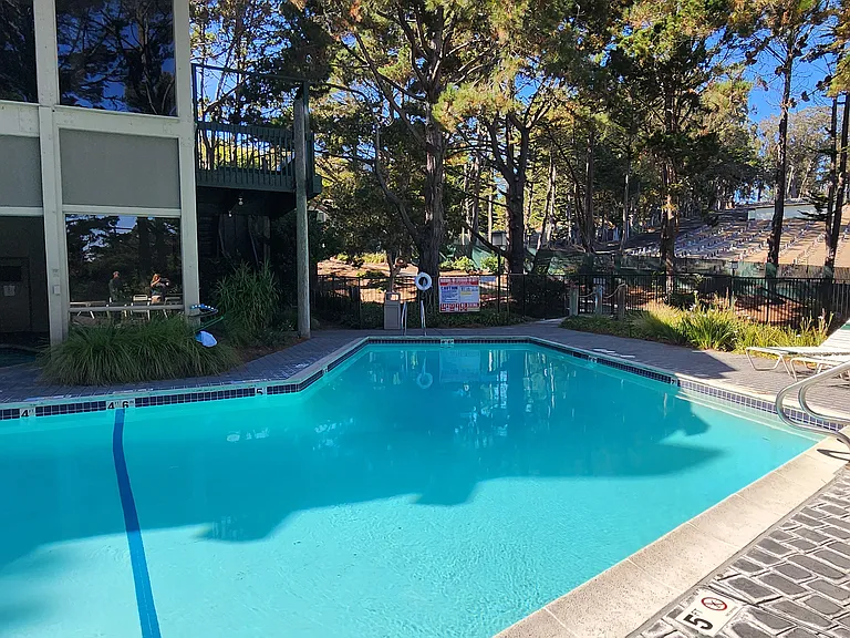 Mandarin Dr — Photo 24