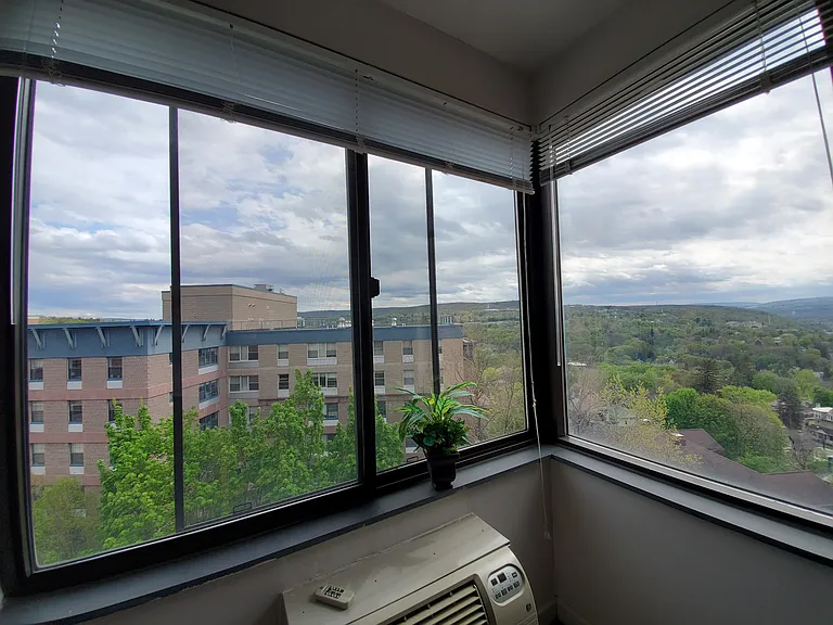 Collegetown Center, 151 Dryden Road — Photo 94