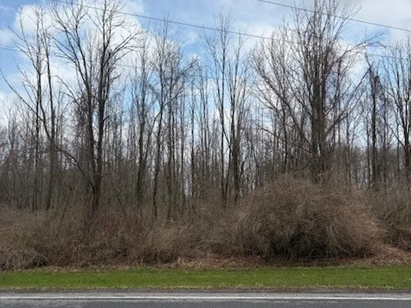 0 McVean Rd Lot 40, Corfu, NY 14036