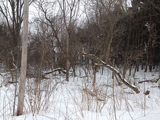 2nd image of 3491 North State Street #D