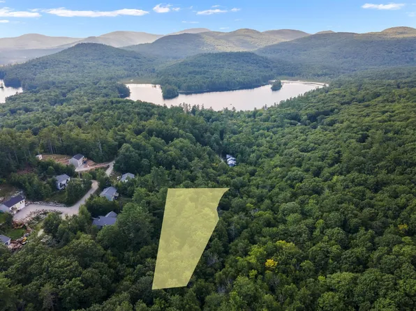 Lot 201 & 202 Frohock Brook Road, Alton, NH 03810