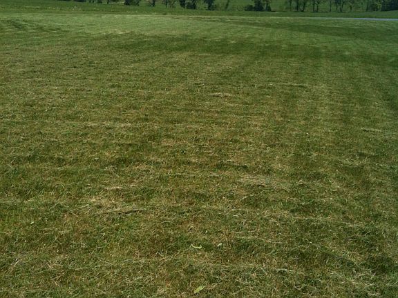 View from Back facing Road C