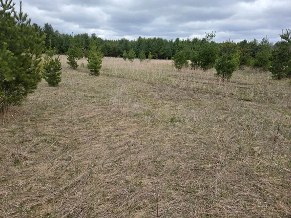 450th St Parcel B, Laporte, MN 56461
